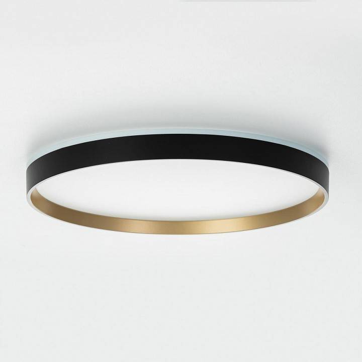 Накладной светильник Citilux ETALON CL750401R