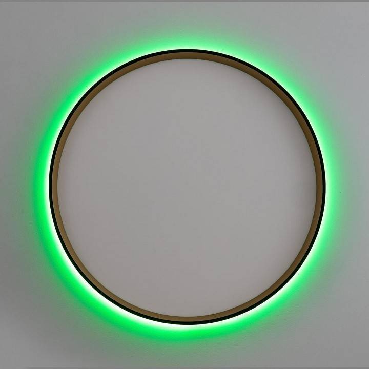 Накладной светильник Citilux ETALON CL750401R