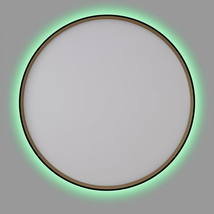 Накладной светильник Citilux ETALON CL750501R