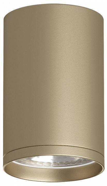 Накладной светильник Denkirs Tube DK2050-SG