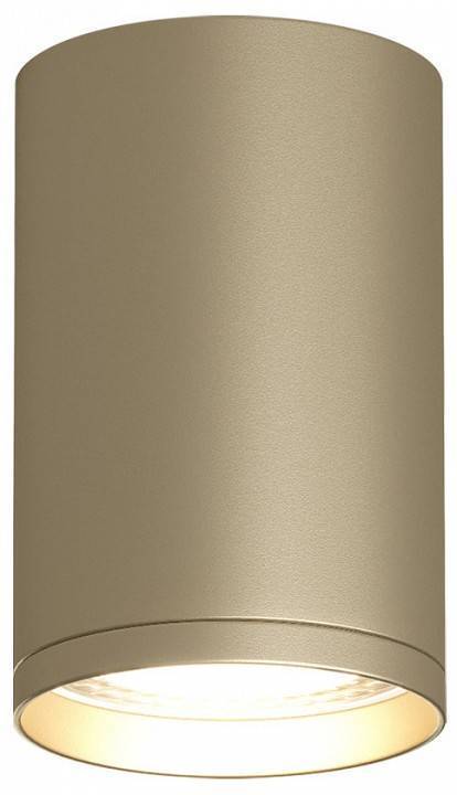 Накладной светильник Denkirs Tube DK2050-SG