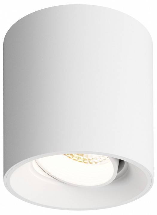 Накладной светильник Denkirs DK3020WW DK3090-WH