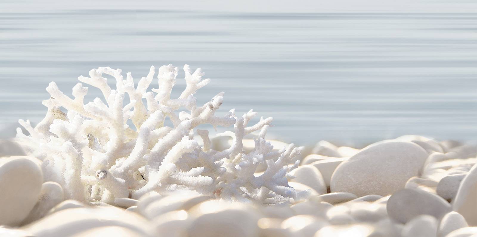 Декор ALMA CERAMICA Del Mare 249х500х7.5 мм DWU09DLM624