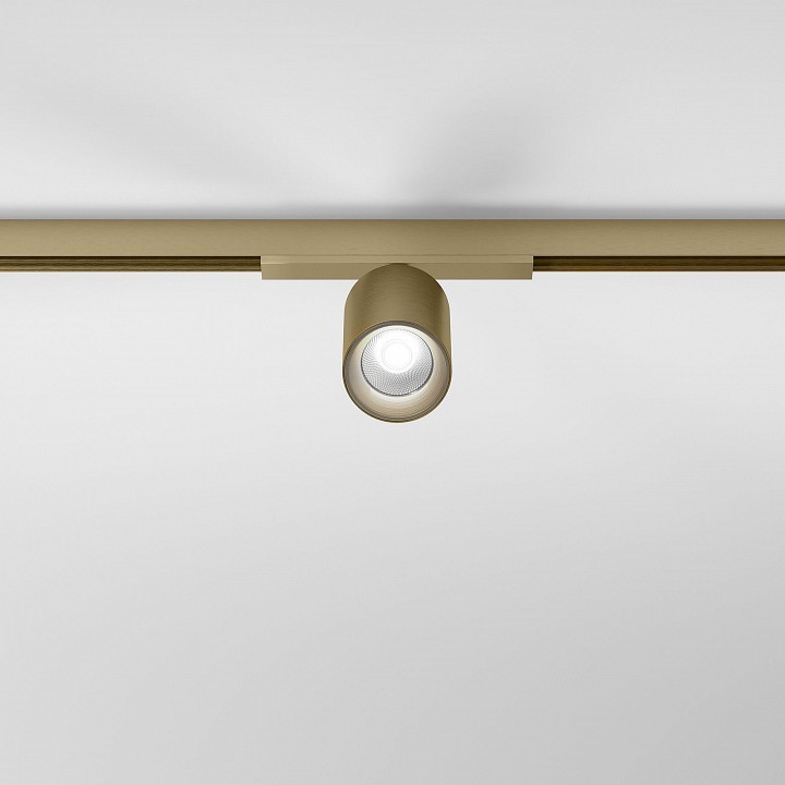 Светильник на штанге Elektrostandard  85525/01