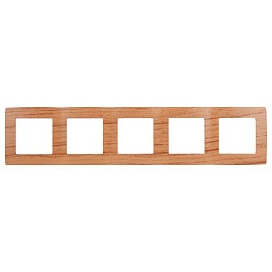 Рамка на 5 постов Эра Эра 12 12-5005-09