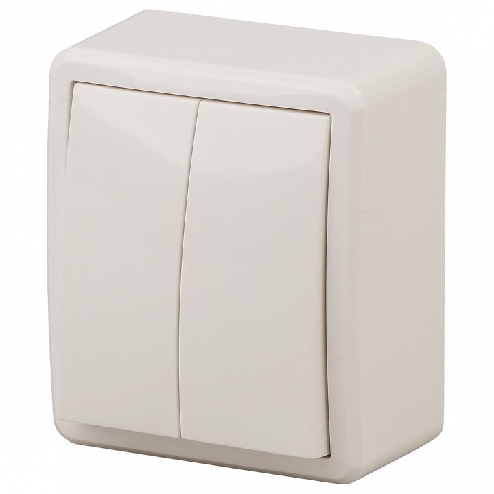 Выключатель двухклавишный ЭРА Эксперт 11-1204-02