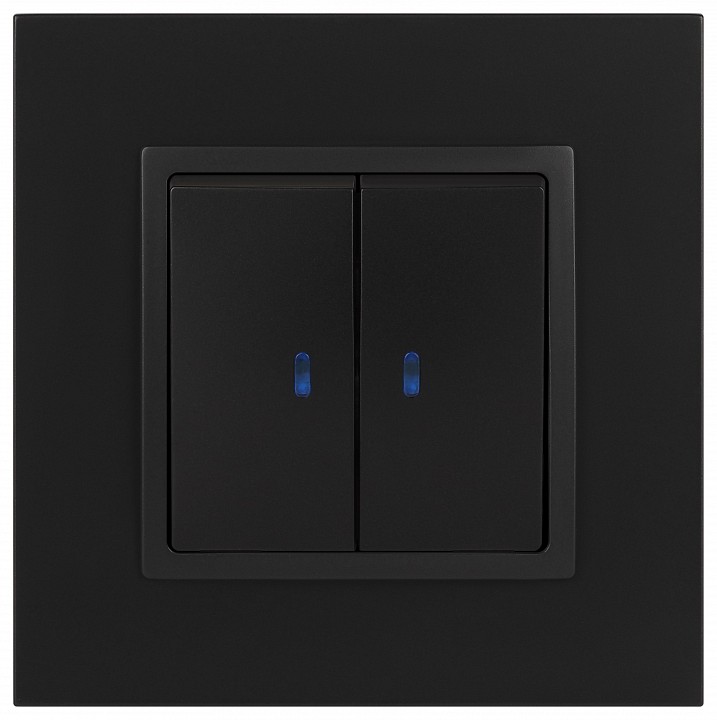 Выключатель двухклавишный с подсветкой без рамки Эра Эра Elegance 14-1105-05