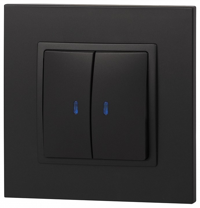 Выключатель двухклавишный с подсветкой без рамки Эра Эра Elegance 14-1105-05
