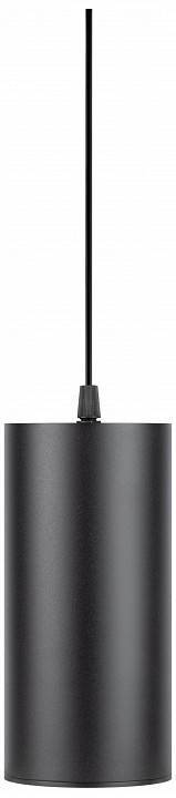 Подвесной светильник Эра  PL12 GX53 BK/SL