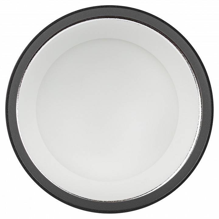 Подвесной светильник Эра  PL12 GX53 BK/SL