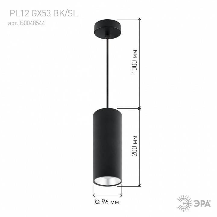Подвесной светильник Эра  PL12 GX53 BK/SL