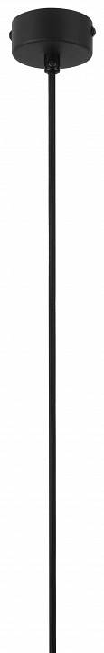 Подвесной светильник Эра PL 16 BK Б0055574