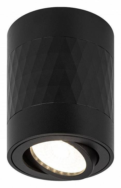 Светильник накладной ЭРА OL33 черный Б0056378