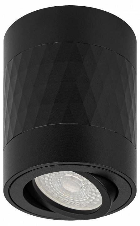 Светильник накладной ЭРА OL33 черный Б0056378