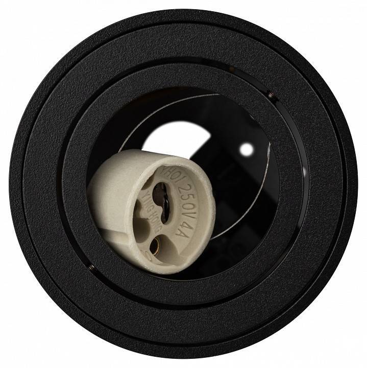 Светильник накладной ЭРА OL33 черный Б0056378