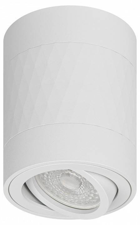 Светильник накладной ЭРА OL33 белый Б0056379
