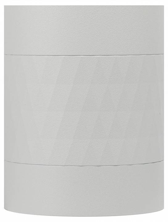 Светильник накладной ЭРА OL33 белый Б0056379