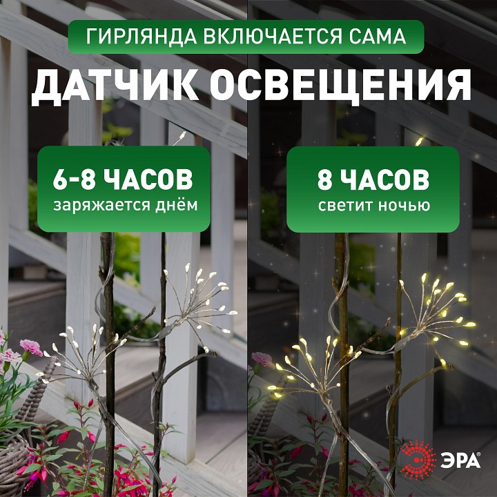 Гирлянда на солнечных батареях Эра  ERASF22-45