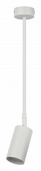 Светильник на штанге Эра OL45 WH Б0058497