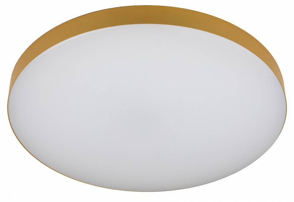 Накладной светильник Эра Relict Relict 48 Pult SPB-6-60-RC MG