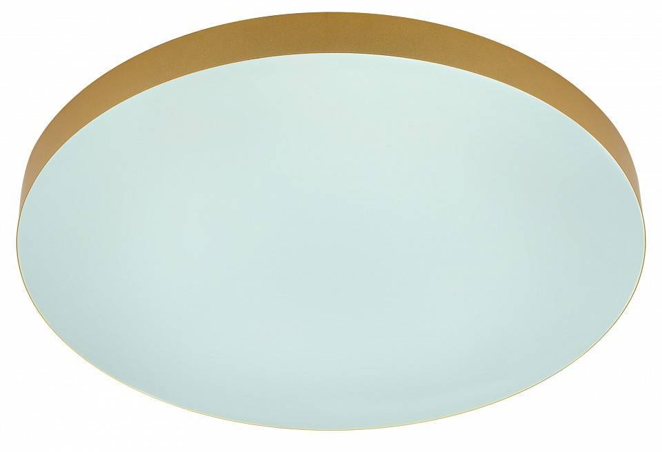 Накладной светильник Эра Relict Relict 48 Pult SPB-6-60-RC MG