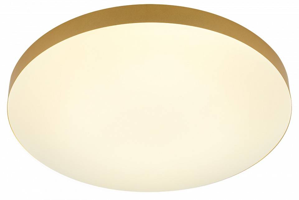 Накладной светильник Эра Relict Relict 48 Pult SPB-6-60-RC MG