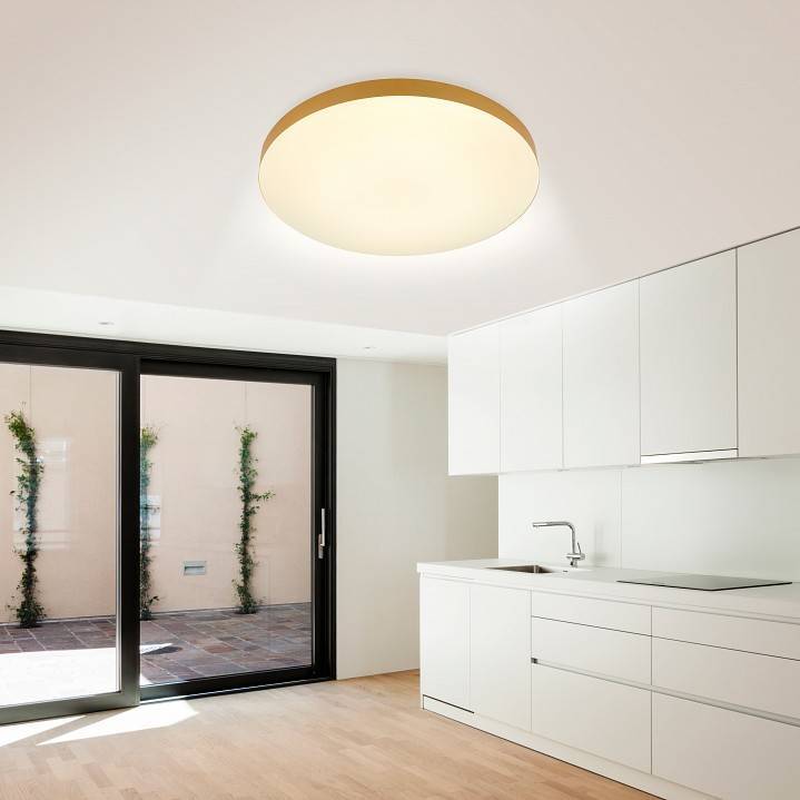 Накладной светильник Эра Relict Relict 48 Pult SPB-6-60-RC MG