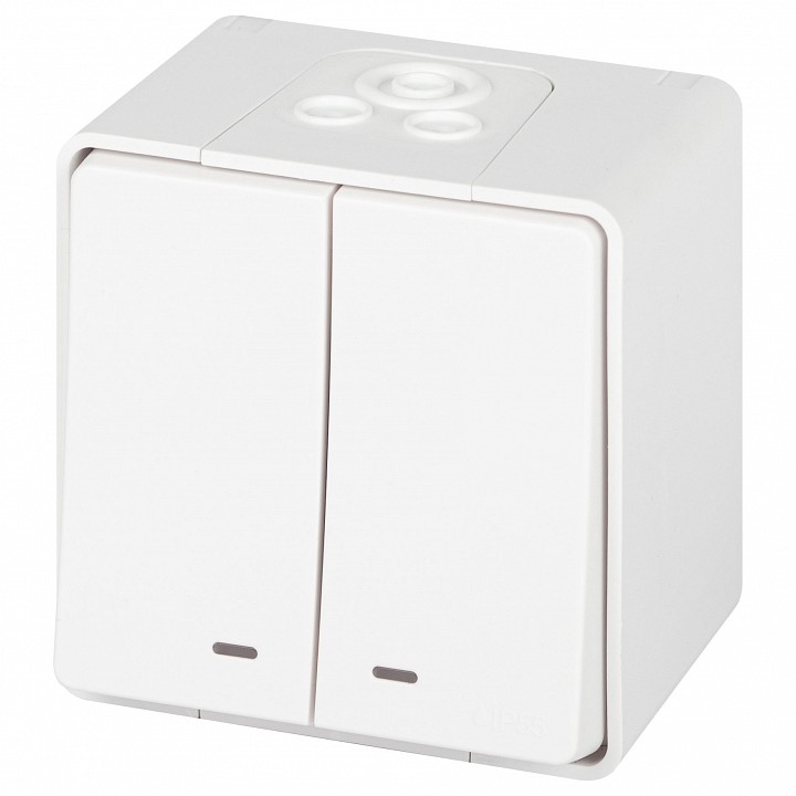 Выключатель двухклавишный с подсветкой Эра Эра Эксперт 11-1505-01