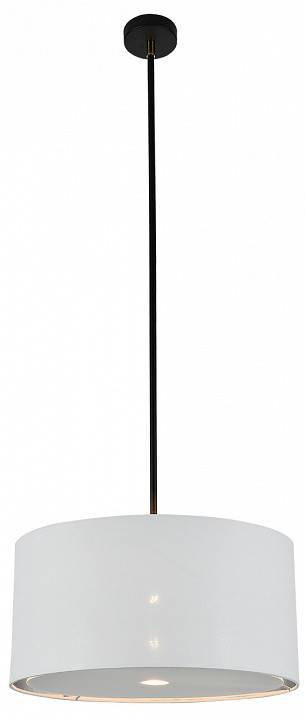 Светильник на штанге Escada Adagio 10186/1S