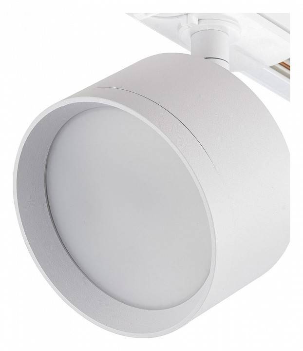 Светильник на штанге Escada 20005 20005TRA/01 SWH