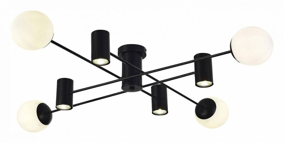 Потолочная люстра EVOLUCE Raito SLE1105-402-08