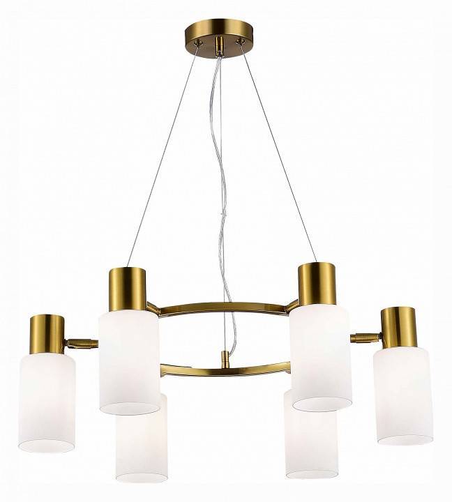 Подвесная люстра EVOLUCE Gessi 6xE14 SLE1139-303-06