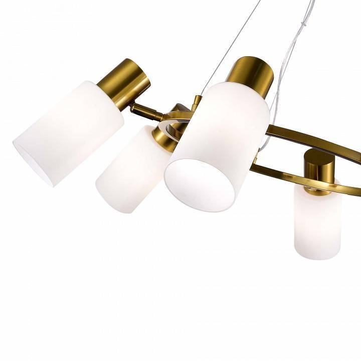 Подвесная люстра EVOLUCE Gessi 6xE14 SLE1139-303-06