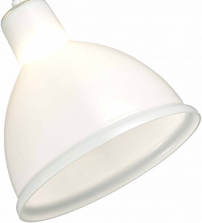 Подвесной светильник EVOLUCE Bacchi SLE114703-01