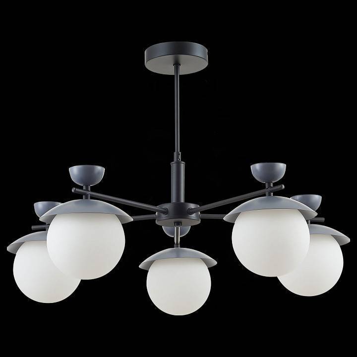 Люстра на штанге EVOLUCE Genova 5 ламп SLE220202-05