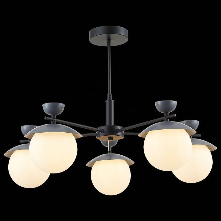 Люстра на штанге EVOLUCE Genova 5 ламп SLE220202-05