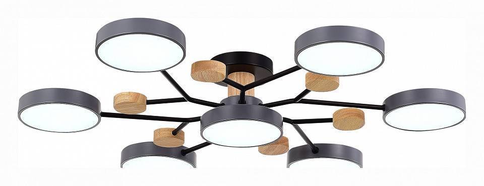 Потолочная люстра EVOLUCE Faema 7 ламп SLE6006-702-07