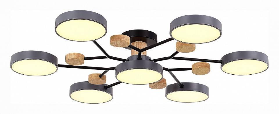 Потолочная люстра EVOLUCE Faema 7 ламп SLE6006-702-07