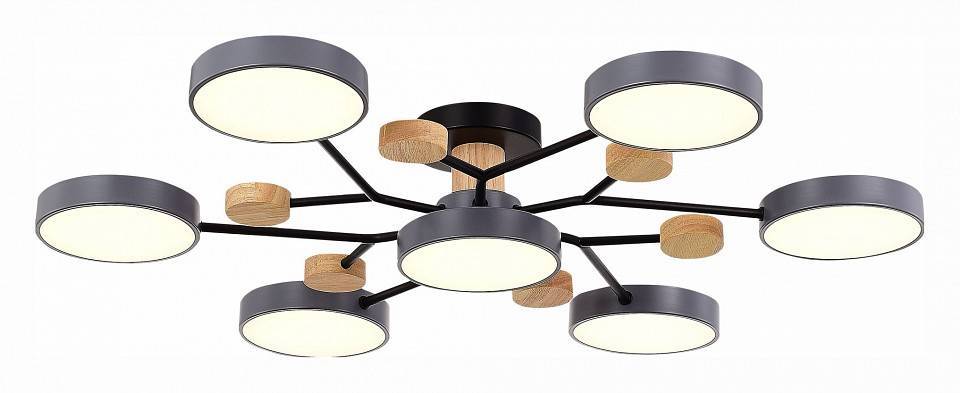 Потолочная люстра EVOLUCE Faema 7 ламп SLE6006-702-07