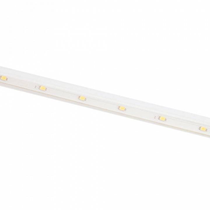 Занавес световой Feron CL586 51453