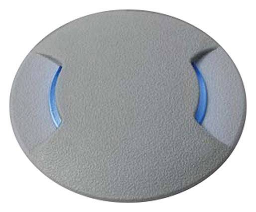 Встраиваемый в дорогу светильник Fumagalli Ceci 2F2.000.000.LXG1L