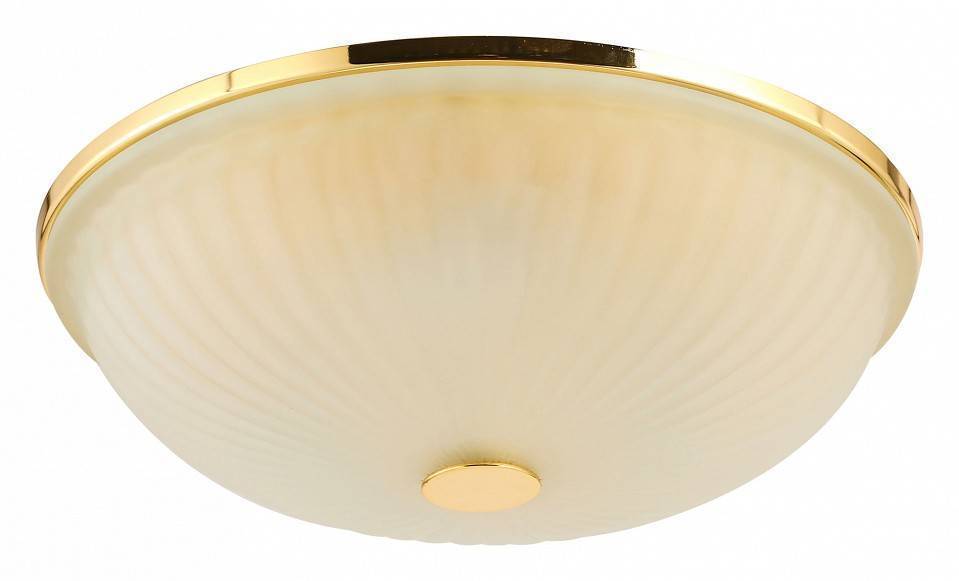 Накладной светильник F-promo Costa 2752-3C