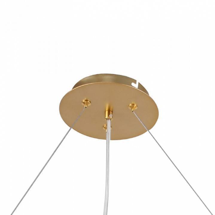 Подвесная люстра F-promo Multy Bliss 2772-12P