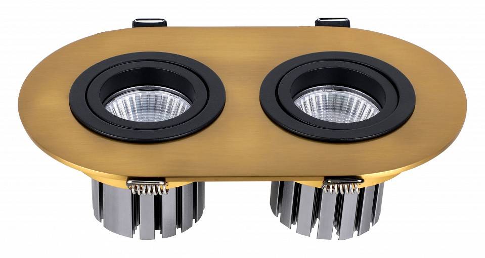 Встраиваемый светильник Favourite Retro 2789-2C