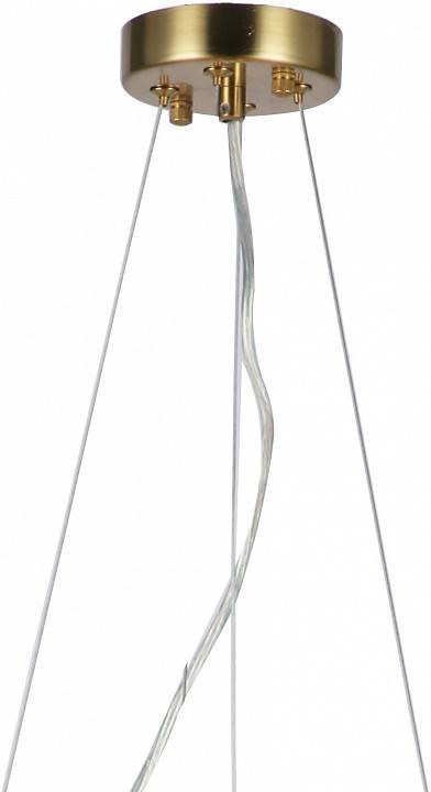 Подвесная люстра Favourite Philomela 6 ламп 3054-6P