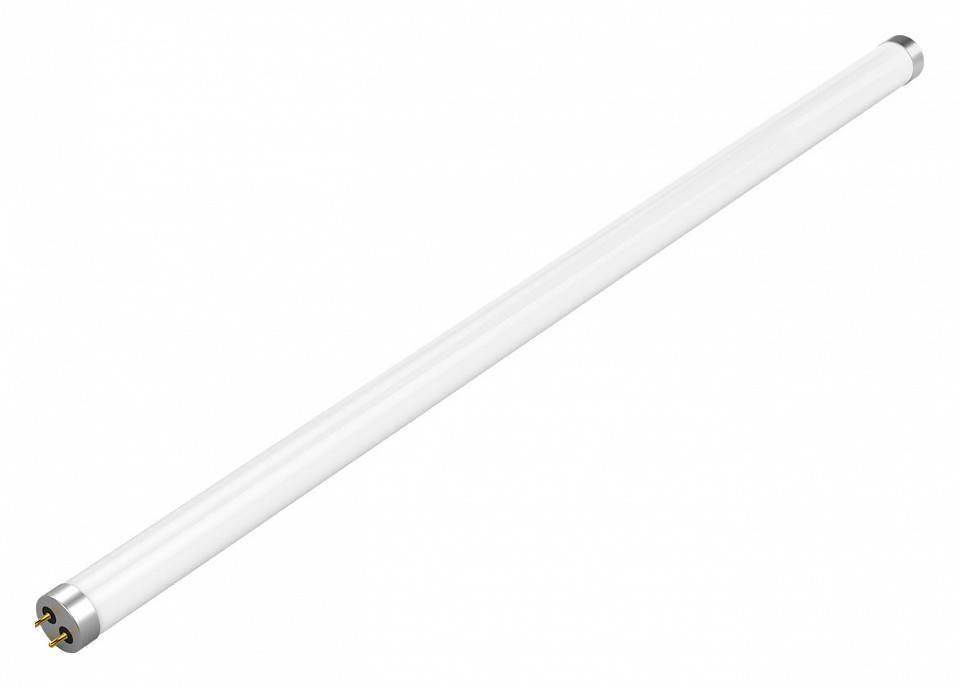 Лампа светодиодная Gauss Basic G13 10Вт 4000K 1930202