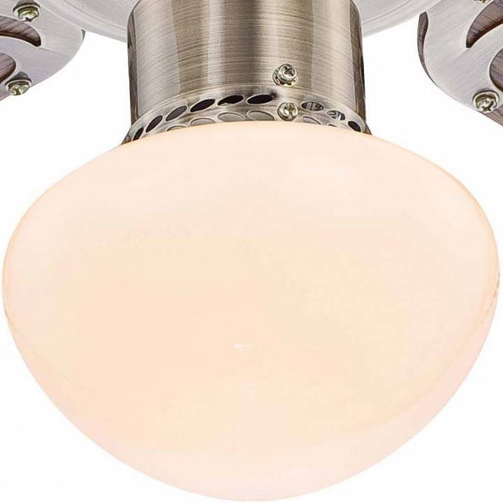 Потолочный светильник с вентилятором Globo Champion 309