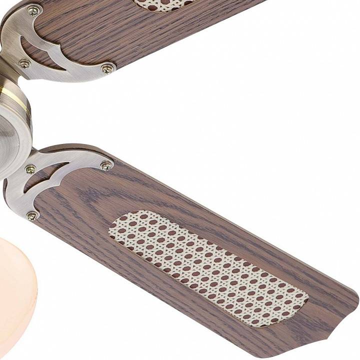 Потолочный светильник с вентилятором Globo Champion 309