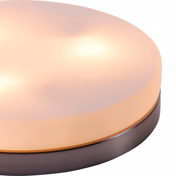 Светильник потолочный Globo Opal 48403