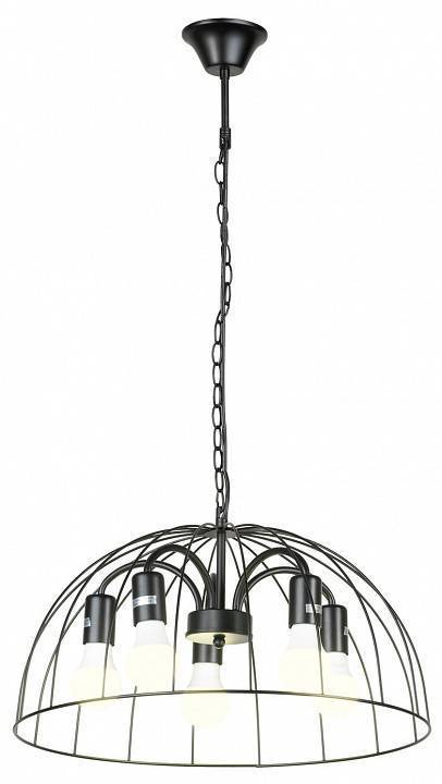 Подвесная люстра Lussole Lattice 1 GRLSP-8216